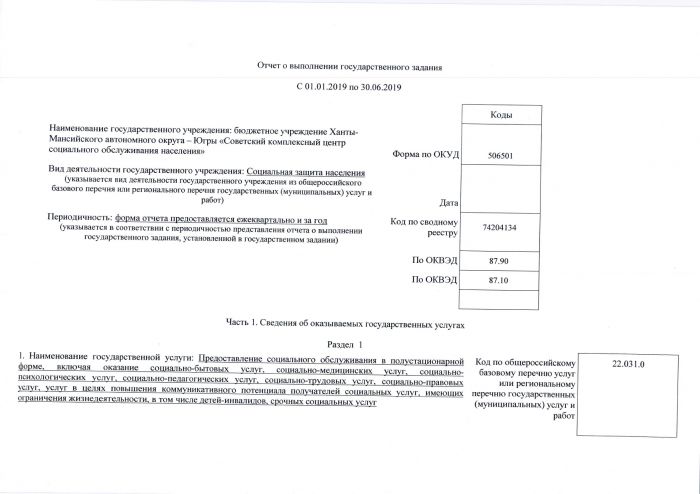 Отчет о выполнении государственного задания с 01.01.2019 по 30.06.2019